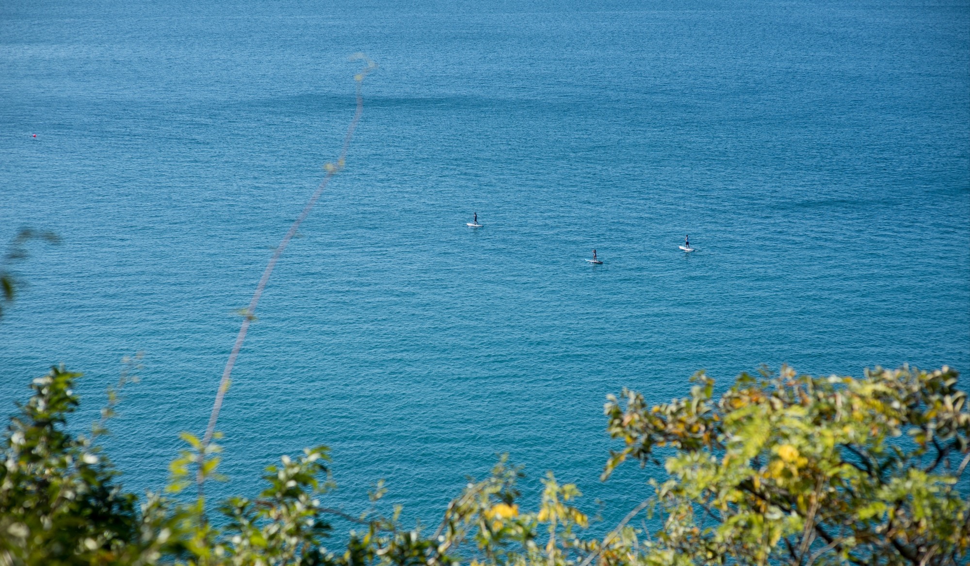 Paddle Boarding