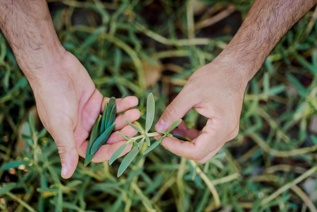 Sourcing Ingredients in Costa Rica 3