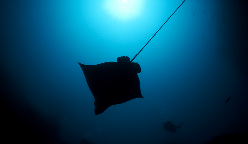 undefined-Mar-06-2026-12-33-57-1327-AM-1