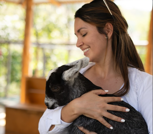 Where Everything Is in Las Catalinas: Your Complete Guide to Life on Foot at Santarena Hotel